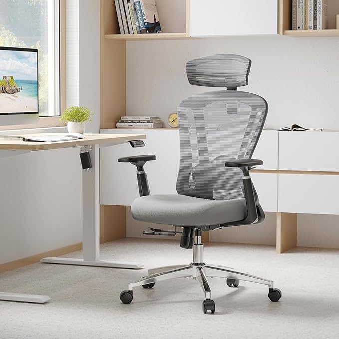 Farini Office Chair Ergonomic Desk Chair, High Back Computer Chair with Wheels, Home Sutdy Chair for Heavy People, Office Chair Adjustable Seat Depth, 3D Armrests and Adjustable Headrest, Gray-DeskLoop Office