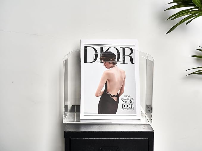 Magazine Rack - Clear Acrylic Magazine Holder, Acrylic Newspaper Stand Organizer with handles, Modern Lucite Magazine and Book Basket Box for Bathroom, Bedroom, Living Room and Office-DeskLoop Office