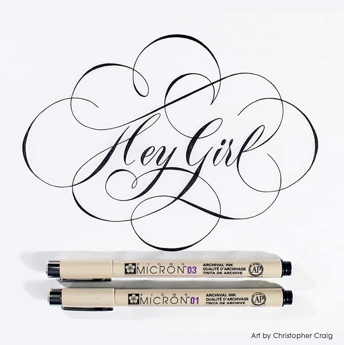 SAKURA Pigma Micron Fineliner Pens - Archival Black Ink Pens - for Writing, Drawing, or Journaling - Assorted Point Sizes - 10 Pack-DeskLoop Office