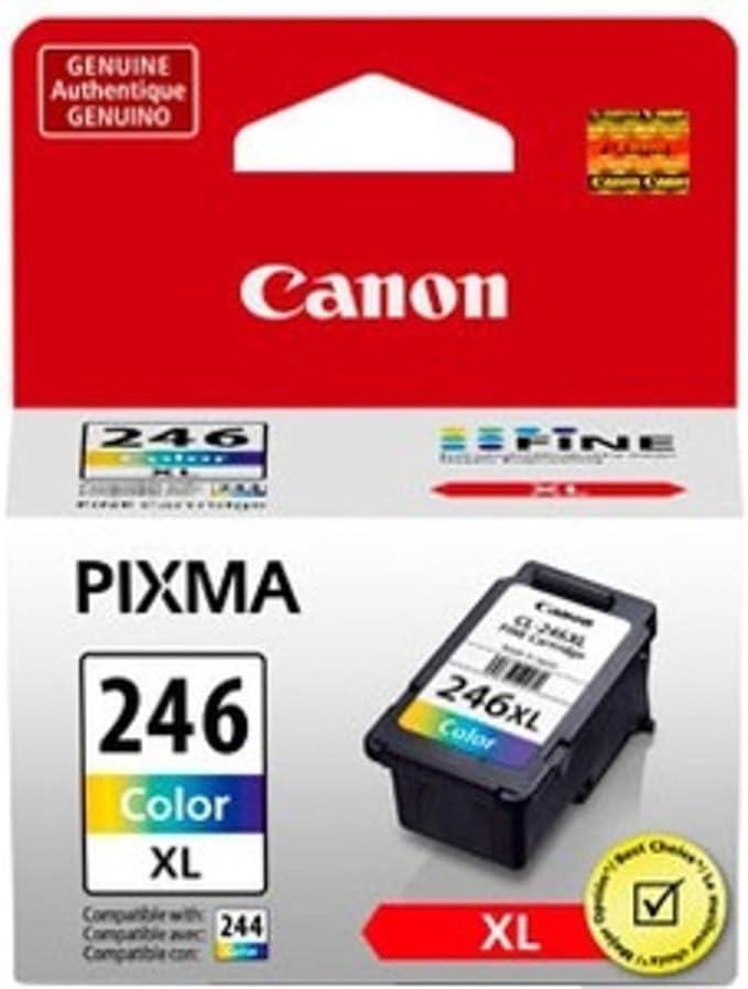 Canon PG-243/ CL-244 Ink Multi Pack, Compatible to TR4520, MX492, MG2520, MG2922, TS302 and TS202 & CL-246 XL Color Ink Cartridge Compatible to Printer iP2820, MG2420, MG2924, MG2920, MX492-DeskLoop Office