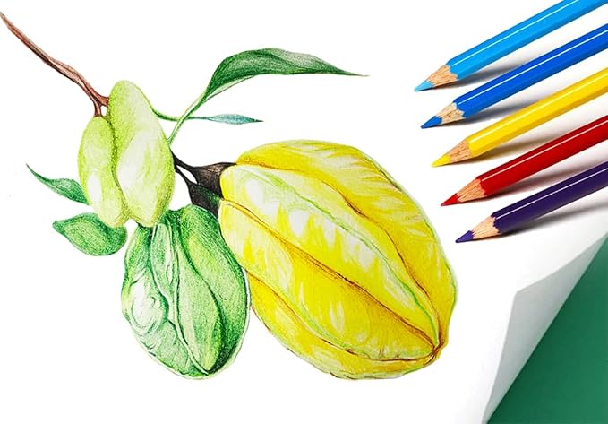 SKKSTATIONERY 144Pcs Colored Pencils, Pre-sharpened, coloring pencils for adults kids Bulk Back to School Supplies For Teachers 12 Colors, 12pcs/box, Total: 144Pcs.-DeskLoop Office