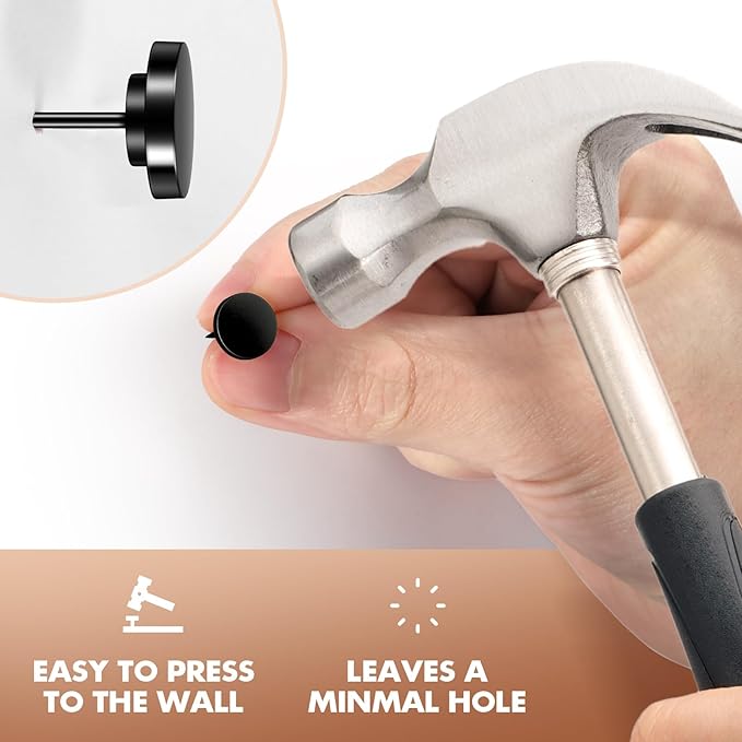 30 Pieces Black Thumb Tacks, Metal Push Pins, Zin Alloy Tacks for Wall, Picture Hanging Hooks, Picture Hangers, Poster Tack, Wall Tacks for Bulletin Boards Decorative-DeskLoop Office