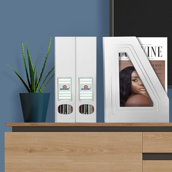 Acrimet Magazine File Holder, Durable Rack, Space-Saving Organizer (Plastic) (White Color) (2 pack)-DeskLoop Office