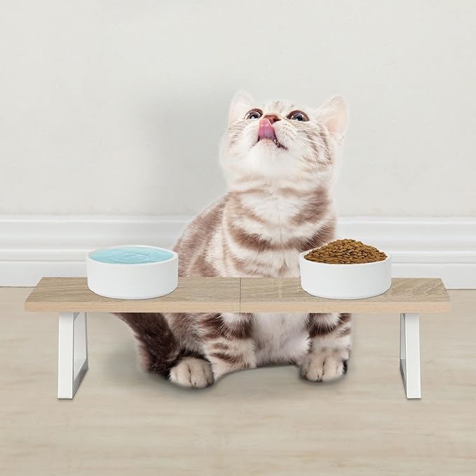 TEAMIX 24 inch Monitor Stand Riser, Wood & Steel Computer Monitor Stand with Storage, Laptop, PC, Printer Stand Riser for Desktop Office Desk Organizers-DeskLoop Office