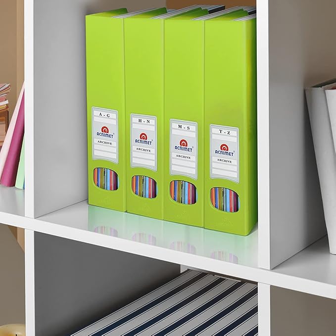 Acrimet Magazine File Holder, Durable Rack, Space-Saving Organizer (Plastic) (Green Citrus Color) (2 Pack)-DeskLoop Office