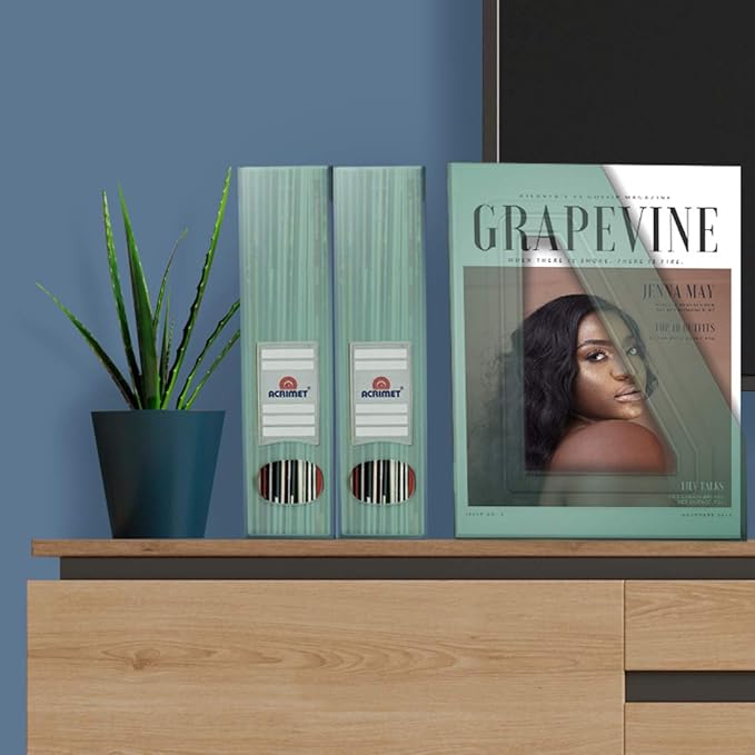 Acrimet Magazine File Holder, Durable Rack, Space-Saving Organizer (Plastic) (Clear Green Color) (2 pack)-DeskLoop Office