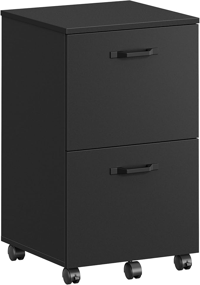 VASAGLE 2-Drawer File Cabinet, Small Rolling Filing Cabinet for Home Office, Printer Stand, for A4, Letter-Size Documents, 15.7 x 16.5 x 27.6 Inches, Matte Black UOFC040B16-DeskLoop Office