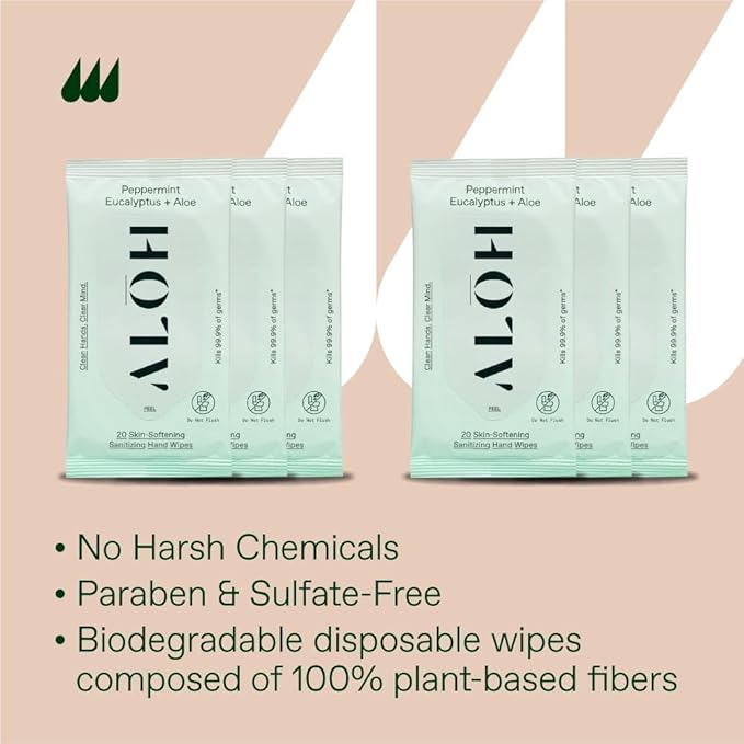 ALŌH Peppermint Eucalyptus Sanitizing Hand Wipes - Clean Hands, Clear Mind On The Go Sanitizer for Kids and Adults - Travel Size 6 packs of 20ct Wipes (120 Wipes)-DeskLoop Office