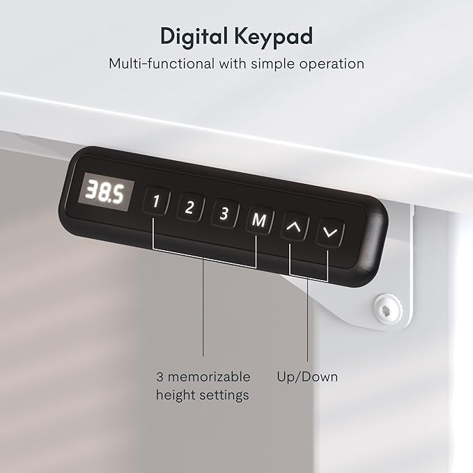 SANODESK 4-Leg Standing Desk, Electric Height Adjustable Desk with Memory Presets for Home Office, Stand up Desk Computer Workstation, 71x32 Inches White-DeskLoop Office