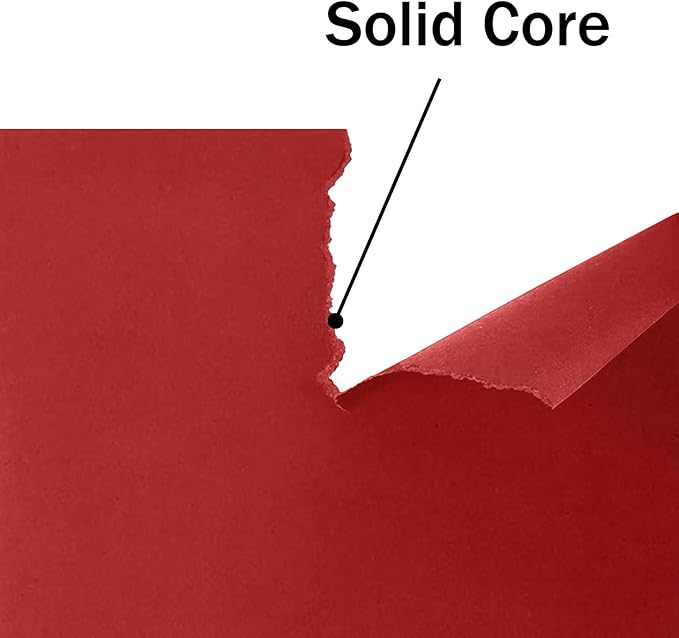 24 Sheets Red Cardstock 8.5 x 11 Thick Printer Paper, Goefun 80lb Red Card Stock Paper for Christmas, Valentines Day, Invitations and Craft-DeskLoop Office