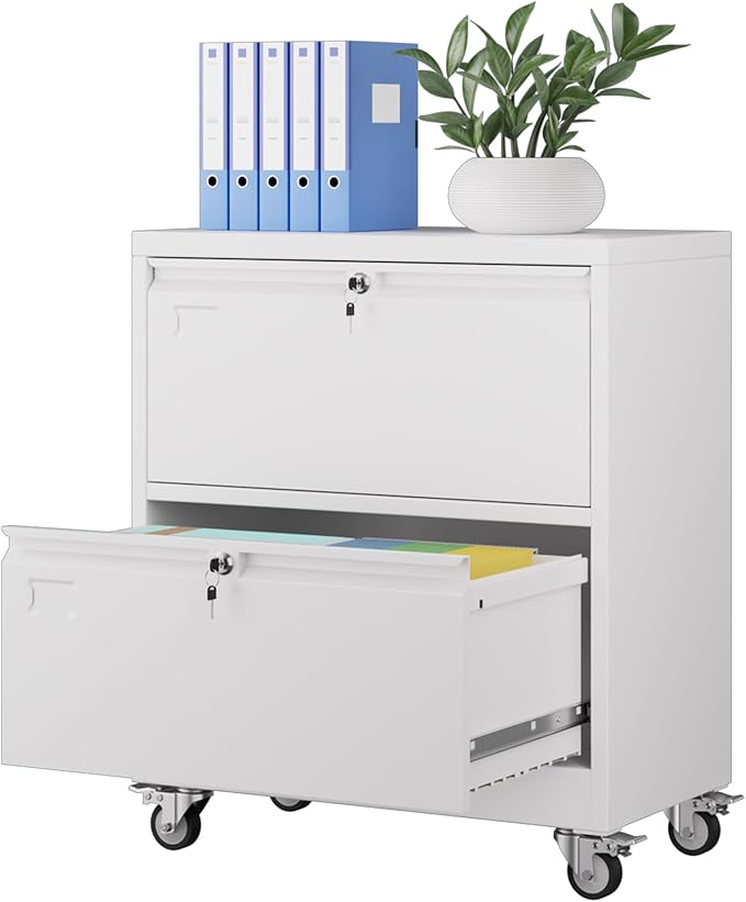Aobabo Metal 2 Drawer Lateral File Mobile Cabinet with 2 Lock, File Cabinet with Wheels and Adjustable File Bars for Office,Home, for Letter/Legal Size,White, Assembly Required-DeskLoop Office