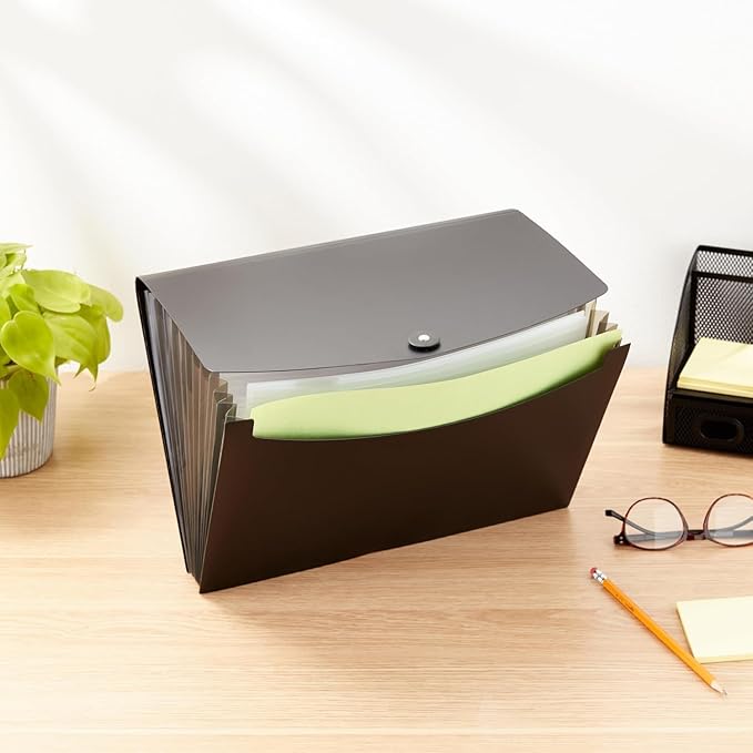 Amazon Basics Expanding Organizer File Folder, Letter Size - Black, 1-Pack-DeskLoop Office