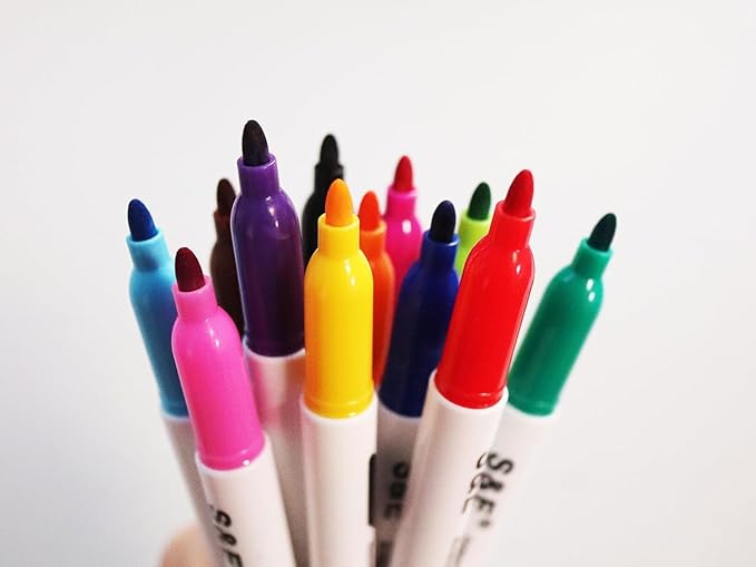 S & E TEACHER'S EDITION 24 Pcs Dry Erase Markers, 12 Assorted Colors with Low-Odor Ink, Fine Tips Whiteboard Markers, for School, Office, Home-DeskLoop Office