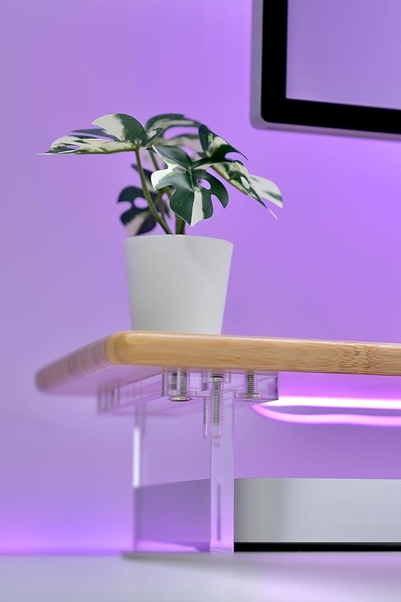 Bamboo Monitor Stand Riser with RGB Lights,31.5 Inches Desktop Shelf with Acrylic Legs Supports for Desk, PC Computer Monitor, Laptops, Printer, Speakers (Natural)-DeskLoop Office