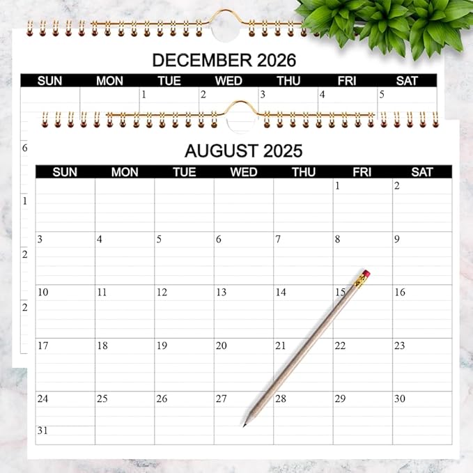 Calendar 2025-2026 - Wall Calendar 2025-26 Runs from August 2025 to December 2026, 17 Months Calendar with Thick Paper for Planning at Home or Office, 8.5 x 11 Inch, Black-DeskLoop Office
