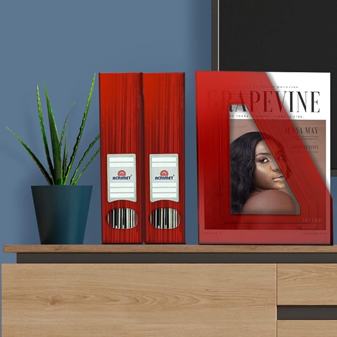 Acrimet Magazine File Holder, Durable Rack, Space-Saving Organizer (Plastic) (Clear Red Color) (2 Pack)-DeskLoop Office