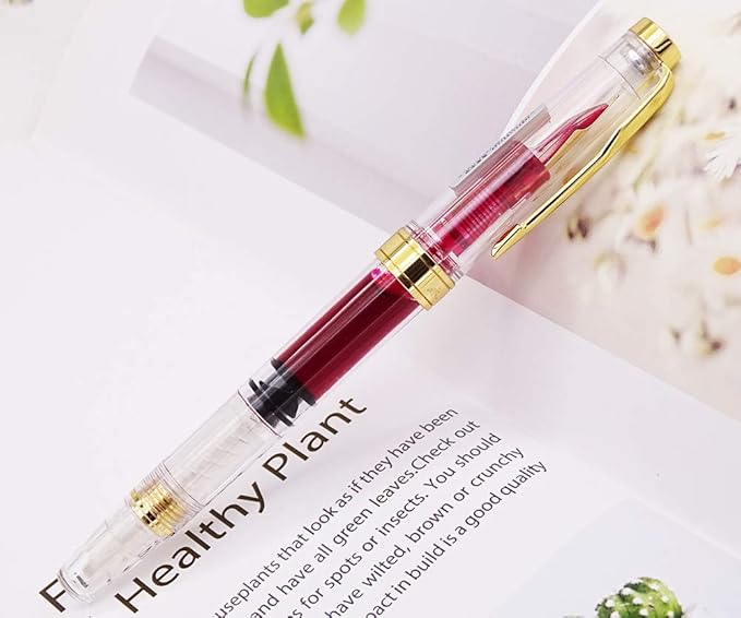 Lanxivi Yongsheng 3011 Demonstrator Clear Classical Fountain Pen Fine Nib Arrow Clip, Piston Filling System, Gold Trim, Set of 4 Pieces in transparent Color-DeskLoop Office