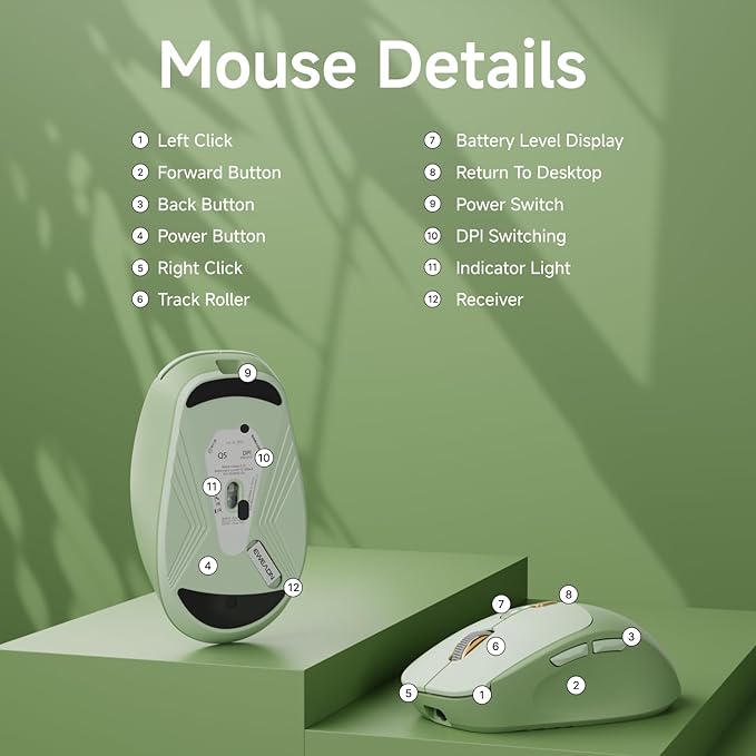 EWEADN Q5 Wireless Mouse, Bluetooth & 2.4G Quiet Computer Mouses with 1600 DPI, Battery Level Display, Ergonomic Office Mouse,6 Button Portable Cute Cordless Mice for Laptop/PC/Mac- Green-DeskLoop Office