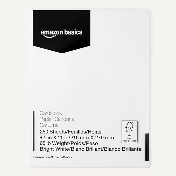 Amazon Basics Cardstock Paper, 8.5" x 11", 65 lb/176 gsm, 96 Bright, White, 250 Sheets-DeskLoop Office