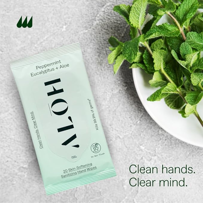 ALŌH Peppermint Eucalyptus + Aloe Sanitizing Hand Wipes - Clean Hands, Clear Mind On The Go Sanitizer for Kids and Adults - Travel Size 3 Pack 20ct Wipes (60 Wipes)-DeskLoop Office