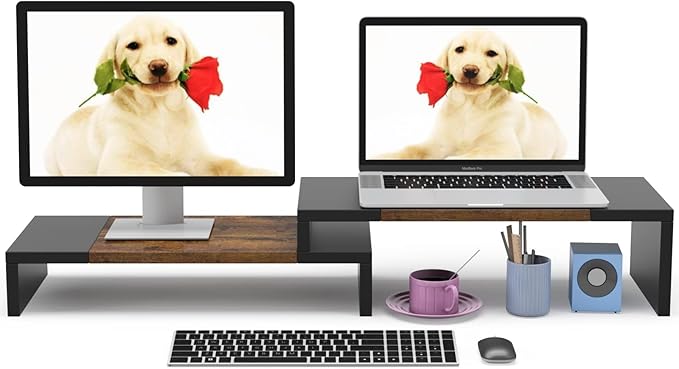 WESTREE Dual Monitor Stand - Riser 2 Shelf Computer with Adjustable Length and Angle, Stands for Monitors, Desktop Organizer PC, Computer, Laptop-DeskLoop Office