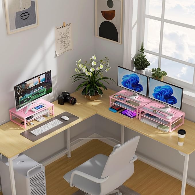 Gianotter 2-Tier Metal Monitor Stand Riser, Workspace Organizer with Desk Accessories, Office Storage for Supplies (Pink)-DeskLoop Office