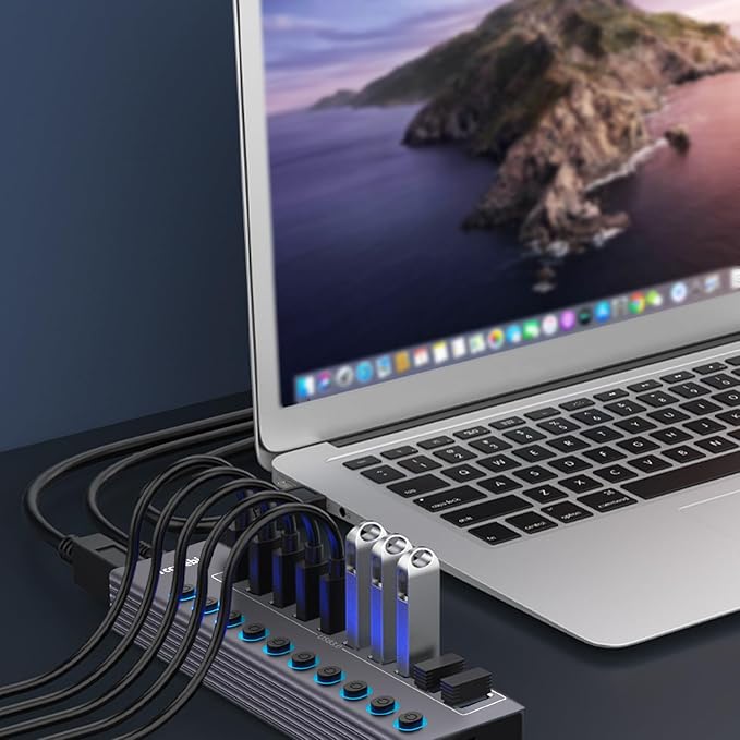 Powered 10-Port USB 3.0 Hub, USB C to 10 Ports USB Data Hub Splitter with Individual LED On/Off Switche, 3.3FT Cable, 12V/3A Power Adapter, for Laptop MacBook Pro/Air PC (Aluminum Gary)-DeskLoop Office