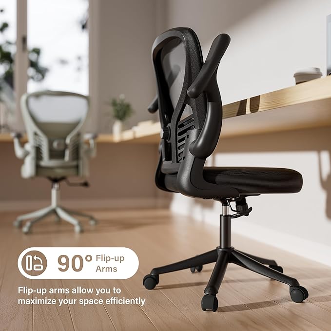 GYI Computer Desk Chair, Ergonomic Office Desk Chairs with Mesh Back, Adjustable Lumbar Support, Height, 3D Flip-up Arms, Wheels, Rocking Function, Black-DeskLoop Office