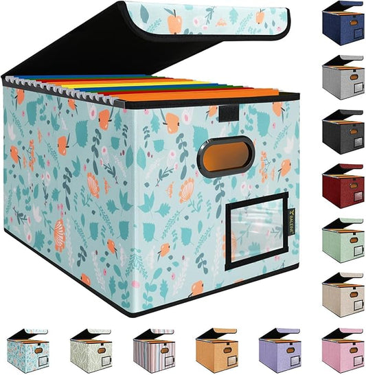 BALEINE File Organizer Box with Lid, Collapsible File Folder Organizer with Plastic Slide, Hanging File Folder Box for Office Document Storage (1 Pack, Spring Stroll)-DeskLoop Office