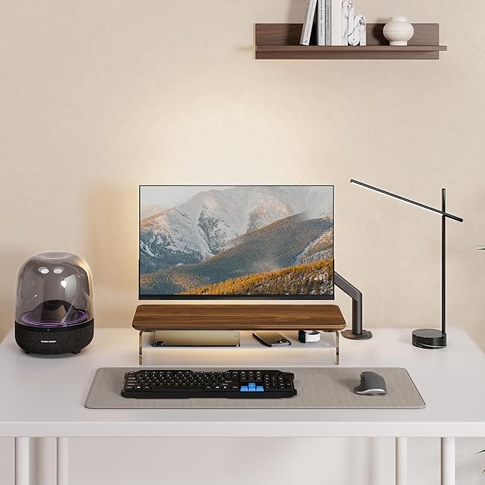 Fenge Acrylic Monitor Stand Riser, 23.6 Inches Monitor Stand with Metal Storage, 2 Tier Acrylic Computer Riser for Desk, Clear Laptop Stand for PC, Laptop, Printer, TV-DeskLoop Office