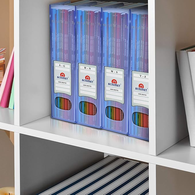 Acrimet Magazine File Holder, Durable Rack, Space-Saving Organizer (Plastic) (Clear Blue Color) (2 pack)-DeskLoop Office