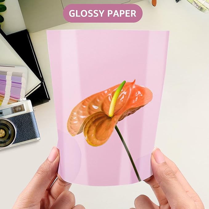 ZBEIVAN Photo Paper 8x10, 8.5x11 inch, Glossy Photo Papers 100 Sheets, 200 GSM Paper for Printer (50 Sheets of each size 8x10, 8.5x11)-DeskLoop Office