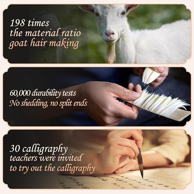 Corciosy 12 Pieces Chinese Calligraphy Brush Set - Premium Painting Writing Watercolor Sumi Brushes Set Kanji Japanese Drawing Art Brushes with Roll-up Brush Holder-DeskLoop Office