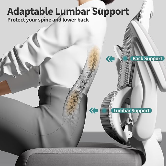 Office Chair - Ergonomic Desk Chair with Adjustable Lumbar Support, Mesh Computer Chair, Executive Chair for Home Office Comfortable Lumbar Support(Grey)-DeskLoop Office