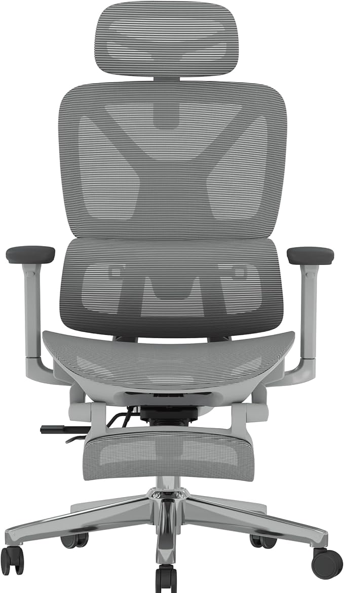FLEXISPOT ErgoX Premium Ergonomic Office Chair with Footrest- Adjustable 3D Armrests, Dynamic Lumbar Support, Recline & Tilt Function, Mesh Seat, for Home & Office Use,Light Grey-DeskLoop Office