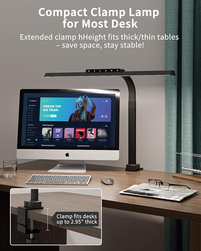 LED Desk Lamps for Home Office, 24W Bright Eye-Caring Light with Clamp, Stepless Dimming Adjustable Flexible Gooseneck Clip on Desk Office Lamp with Adapter for Reading, Study, Workbench,Black-DeskLoop Office
