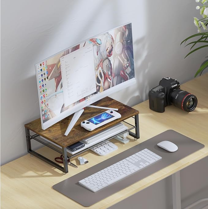 gianotter 2-Tier Metal Monitor Stand Riser, Desk Organizer for Monitor, Office Desk Storage Organizer for Office Supplies (Wood)-DeskLoop Office