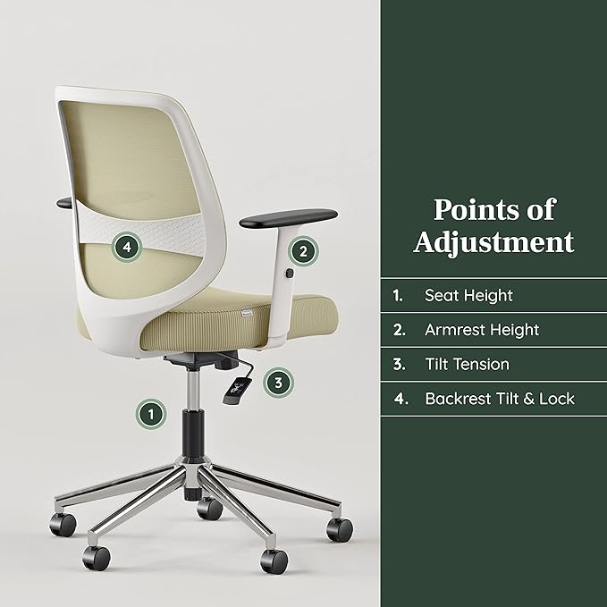 Branch Daily Chair - Computer Office Chair with Swivel, Lumbar Rest, and Adjustable Armrests - Sustainable, Stylish Mesh, & Adjustable Armrests - Comfortable Seating for Improved Posture - Green-DeskLoop Office