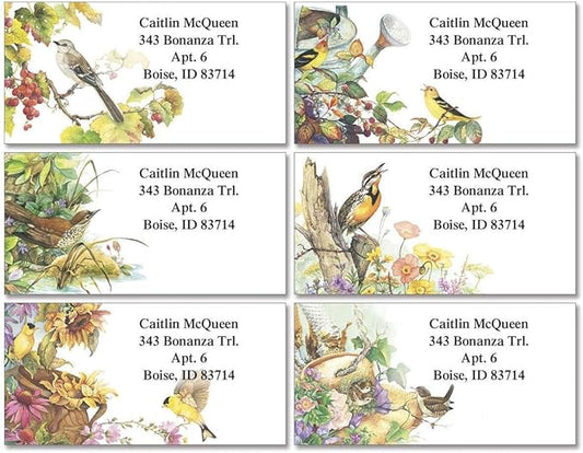 Colorful Images Songbirds Return Address Mailing Labels, Personalize with Name & Addresses, Set of 144 Self Adhesive, Easy Peel Flat Label Sheets, 1 ⅛ x 2 ¼”, 6 Designs-DeskLoop Office