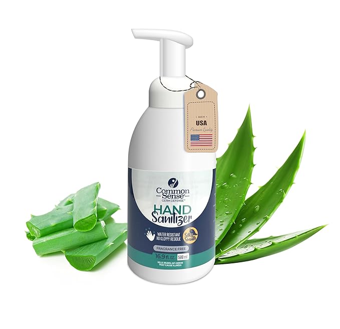 Common Sense Hand Sanitizer: Long Lasting Natural and Moisturizing, Quick Drying Foaming Formula, Mini Pump Bottle 16.9 Fl oz for Home & Office Use-DeskLoop Office