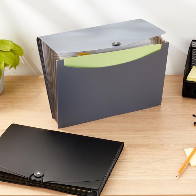 Amazon Basics Expanding Organizer File Folder - Image 7