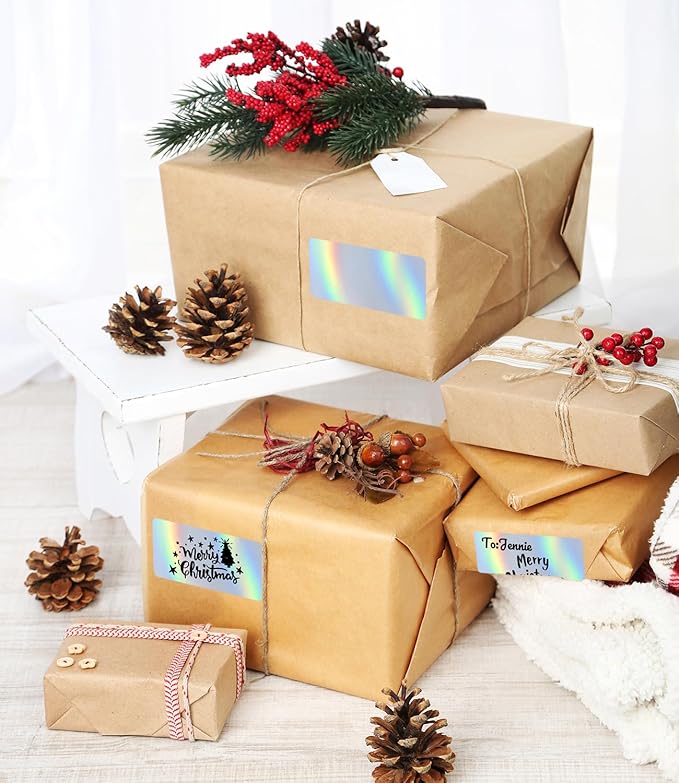 Holographic Square Thermal Labels (4 x 2 inch), Self-Adhesive Direct Thermal Sticker Label, Compatible with All Thermal Shipping Label Printers, for Name, Price Tag, DIY, Logo, 500 Labels/Roll-DeskLoop Office