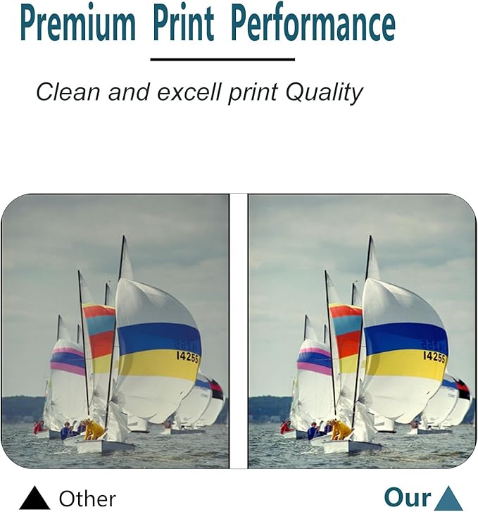 T10S Black Ink Cartridges Use for Printers WorkPorce Pro WF-C5390/WF-C5890 Color Printer 1 PCS of Black Color-DeskLoop Office