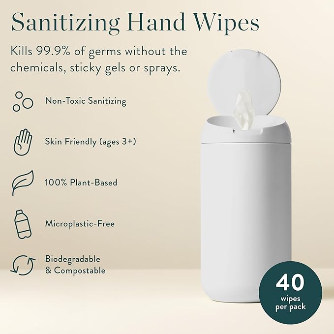 Biom Biodegradable Hand Sanitizing Mini Wipes 8-Pack Refill Kit - Kid-Safe | Plant-Based Hand Wipes for Home & Travel | Natural, Non-Toxic Wet Wipe with Aloe for Soft Skin | Eucalyptus Chill-DeskLoop Office