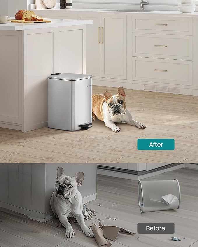 SONGMICS Kitchen Trash Can, 5.2-Gallon (20 L) Trash Bin, Stainless Steel Garbage Can, with Inner Bucket, Soft Close and Stays Open, Metallic Silver ULTB592E01-DeskLoop Office