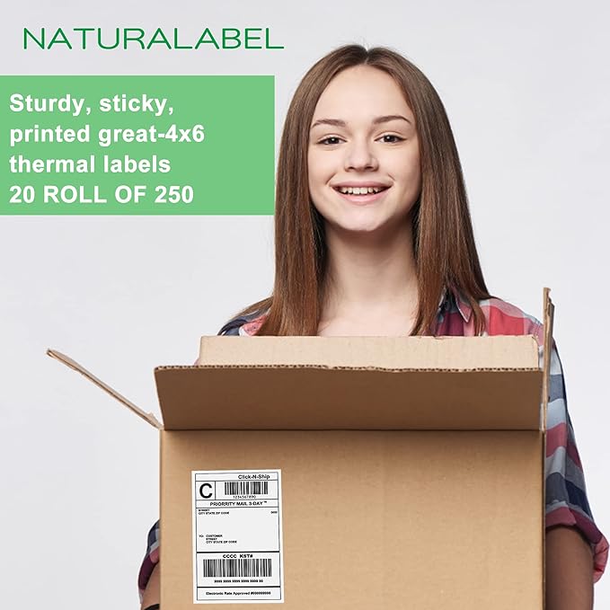NATURALABEL 5000 PCS 4" x 6" Direct Thermal Shipping Labels for Small Business, with Perforated Lines, Compatible with Rollo and Zebra (20 Rolls, 250 Labels/Roll)-DeskLoop Office