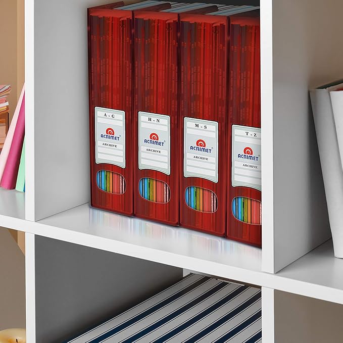 Acrimet Magazine File Holder, Durable Rack, Space-Saving Organizer (Plastic) (Clear Red Color) (2 Pack)-DeskLoop Office