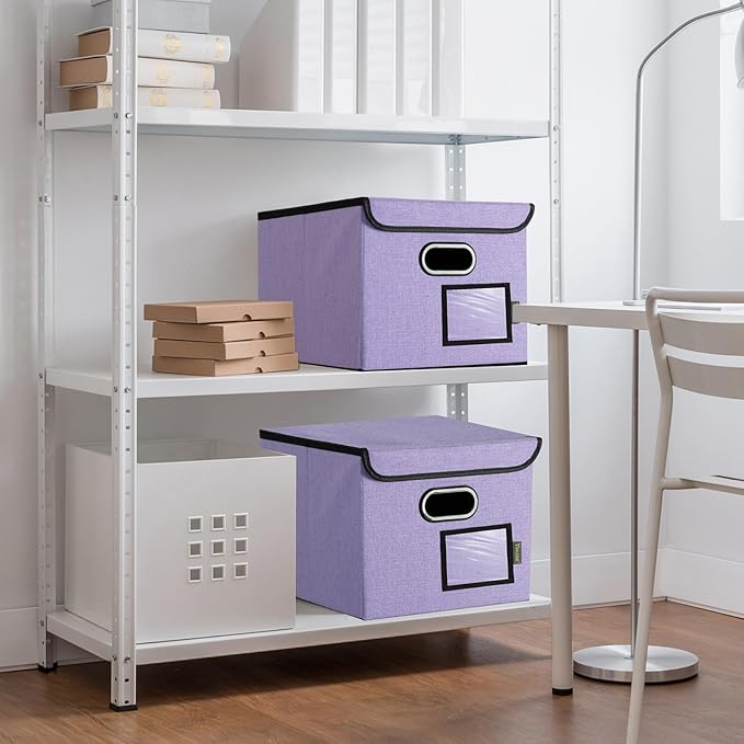 BALEINE File Organizer Box with Lid, Collapsible File Folder Organizer with Plastic Slide, Hanging File Folder Box for Office Document Storage (1 Pack, Purple)-DeskLoop Office