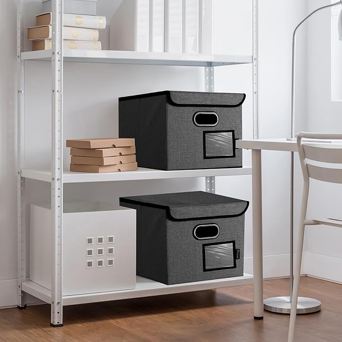 BALEINE File Organizer Box with Lid, Collapsible File Folder Organizer with Plastic Slide, Hanging File Folder Box for Office Document Storage (2 Pack, Black)-DeskLoop Office