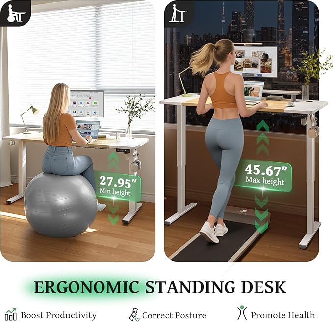 SIAGO Electric Standing Desk Adjustable - 55 x 24 Inch Sit Stand up Desk with Cable Management - 3 Memory Preset Adjustable Height Table-DeskLoop Office